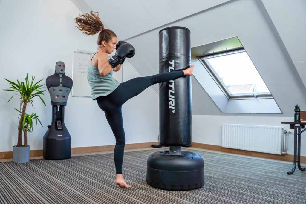 Free Stand Punch Bag