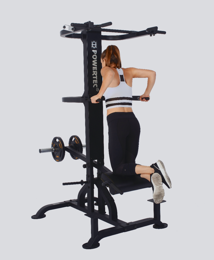 Powertec Chin-Dip assist