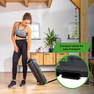 Vibrationsplatta V20