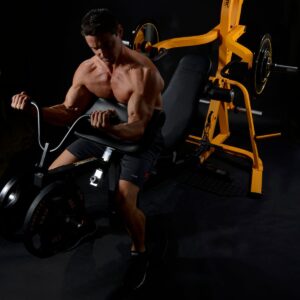 Powertec / Bicepscurl