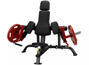 Bicepsmaskin / PLBC